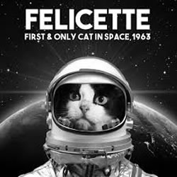Félicette premier et seul chat dans l'espace